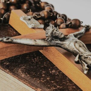 white and brown wooden animal skull on brown wooden table